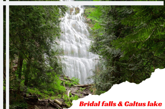A day trip to Bridal falls and Cultus lake