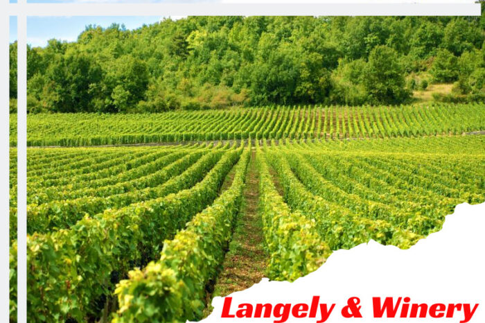 A day trip to Langley and Winery